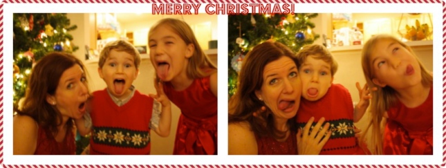Merry Christmas silly pic